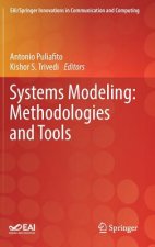 Systems Modeling: Methodologies and Tools