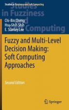 Fuzzy and Multi-Level Decision Making: Soft Computing Approaches
