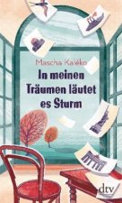 In meinen Träumen läutet es Sturm