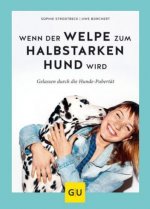 Wenn der Welpe zum halbstarken Hund wird