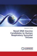 Novel DNA Vaccine Candidates to Human Respiratory Syncytial Viruses