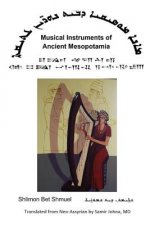 Musical Instruments of Ancient Mesopotamia