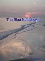Blue Notebooks