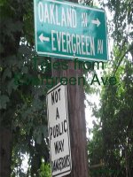 Tales from Evergreen Ave.