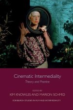 KNOWLES CINEMATIC INTERMEDIALITY