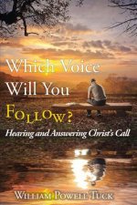 Which Voice Will You Follow