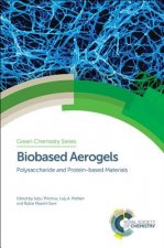 Biobased Aerogels