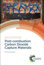 Post-combustion Carbon Dioxide Capture Materials