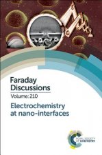 Electrochemistry at Nano-interfaces