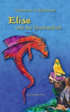 Abenteuer im Buntmeer - Elise und der Drachenfisch