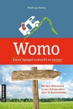 Womo   Einen Spiegel erwischt es immer