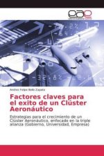 Factores claves para el exito de un Cluster Aeronautico