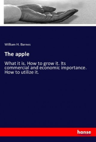 The apple