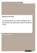 La densification du cadre juridiques de la protection des personnes dans la violence civile