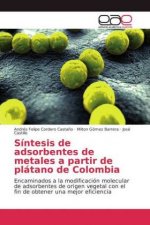 Sintesis de adsorbentes de metales a partir de platano de Colombia