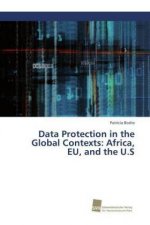 Data Protection in the Global Contexts: Africa, EU, and the U.S