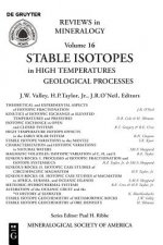 Stable Isotopes in High Temperature Geological Processes