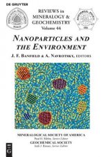 Nanoparticles and the Environment