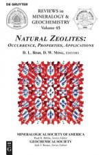 Natural Zeolites