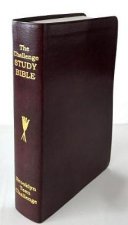 CEV CHALLENGE STUDY BIBLE