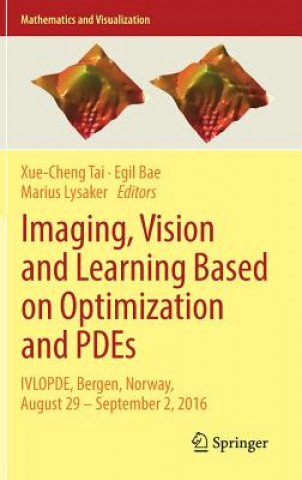 Imaging, Vision and Learning Based on Optimization and PDEs