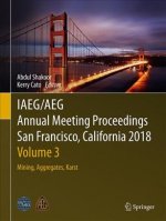 IAEG/AEG Annual Meeting Proceedings, San Francisco, California, 2018 - Volume 3