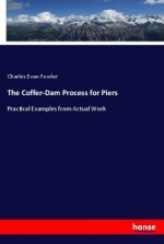 The Coffer-Dam Process for Piers