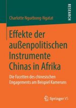 Effekte Der Aussenpolitischen Instrumente Chinas in Afrika