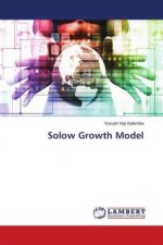 Solow Growth Model