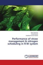 Performance of straw management & nitrogen scheduling in R-W system