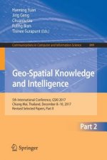 Geo-Spatial Knowledge and Intelligence