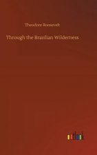 Through the Brazilian Wilderness