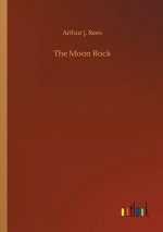 Moon Rock