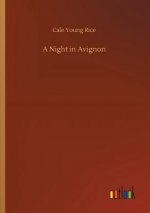 Night in Avignon