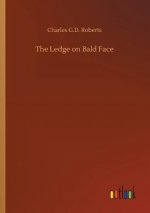 Ledge on Bald Face