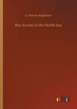 Boy Scouts in the North Sea