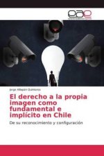 derecho a la propia imagen como fundamental e implicito en Chile