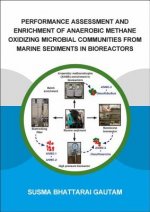 Performance Assessment and Enrichment of Anaerobic Methane Oxidizing Microbial Communities from Marine Sediments in Bioreactors