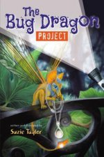 Bug Dragon Project