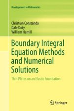 Boundary Integral Equation Methods and Numerical Solutions