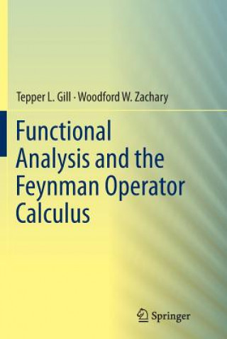 Functional Analysis and the Feynman Operator Calculus