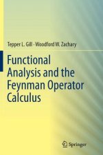 Functional Analysis and the Feynman Operator Calculus