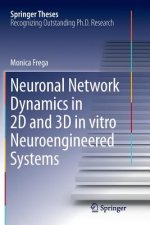 Neuronal Network Dynamics in 2D and 3D in vitro Neuroengineered Systems