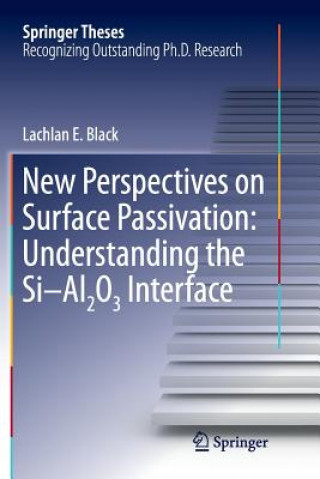 New Perspectives on Surface Passivation: Understanding the Si-Al2O3 Interface