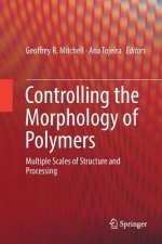 Controlling the Morphology of Polymers