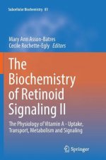 Biochemistry of Retinoid Signaling II