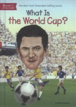 What Is the World Cup?