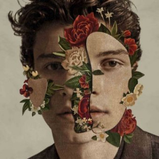 Shawn Mendes, 1 Audio-CD