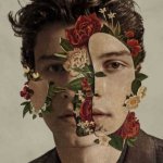 Shawn Mendes, 1 Audio-CD (Deluxe Edt.)