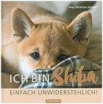 Ich bin Shiba. Einfach unwiderstehlich!